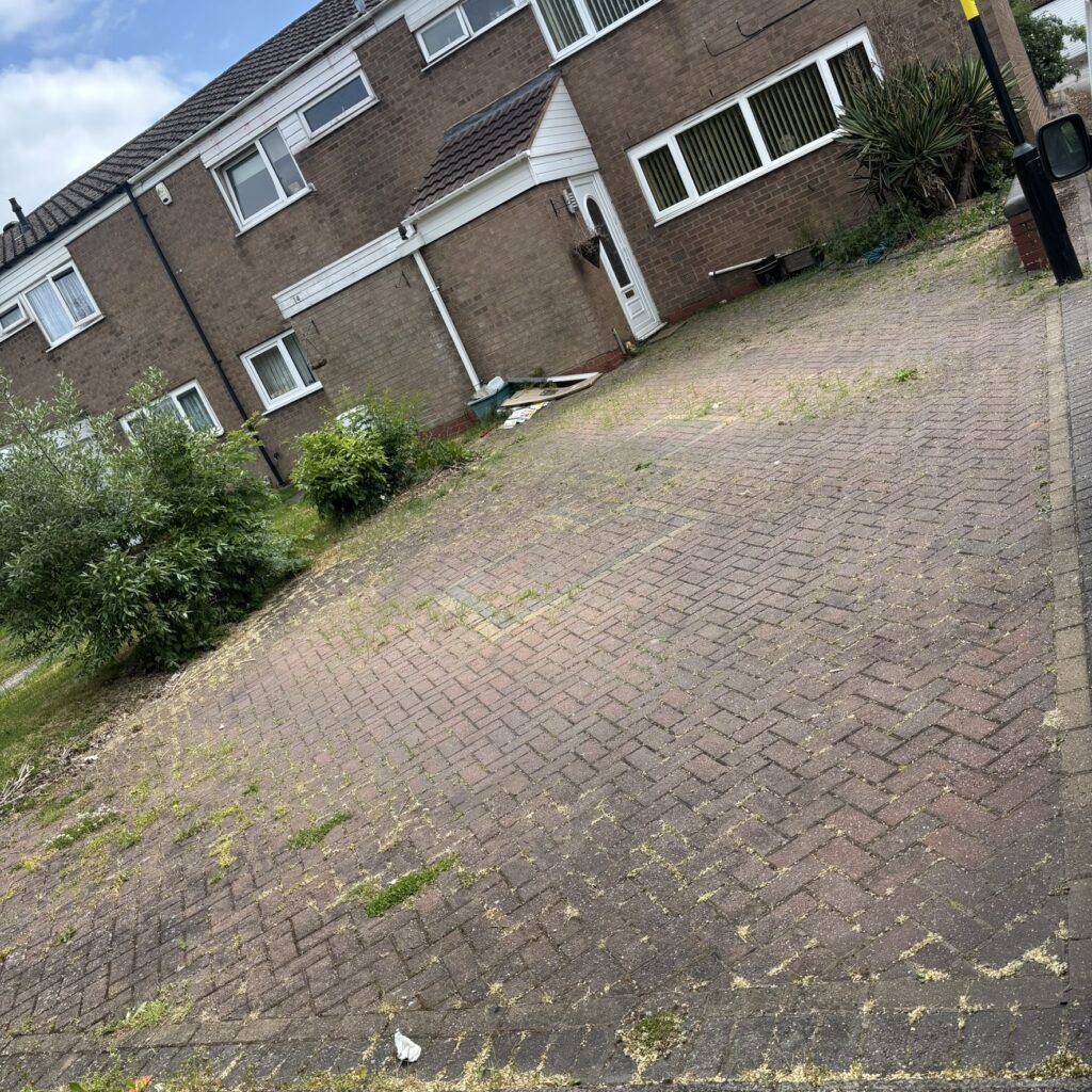 img 3090