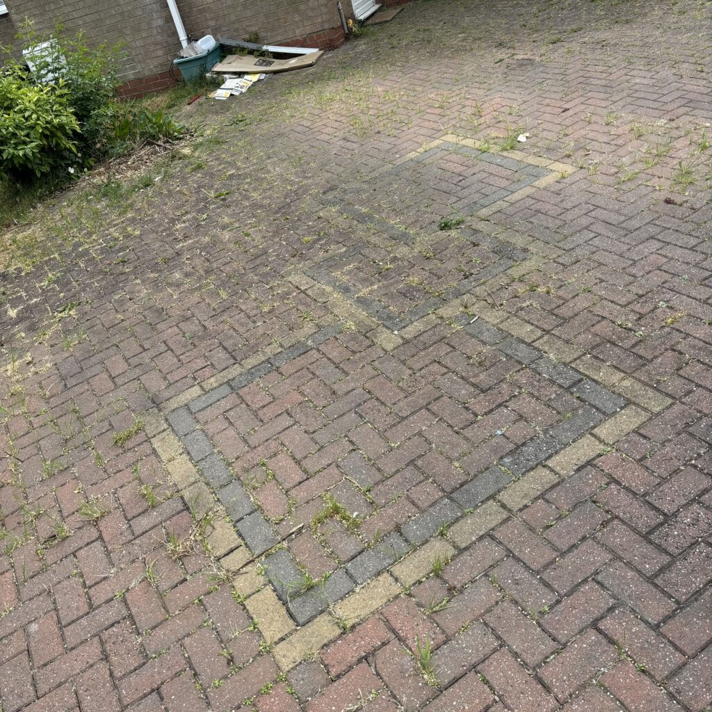 img 3092