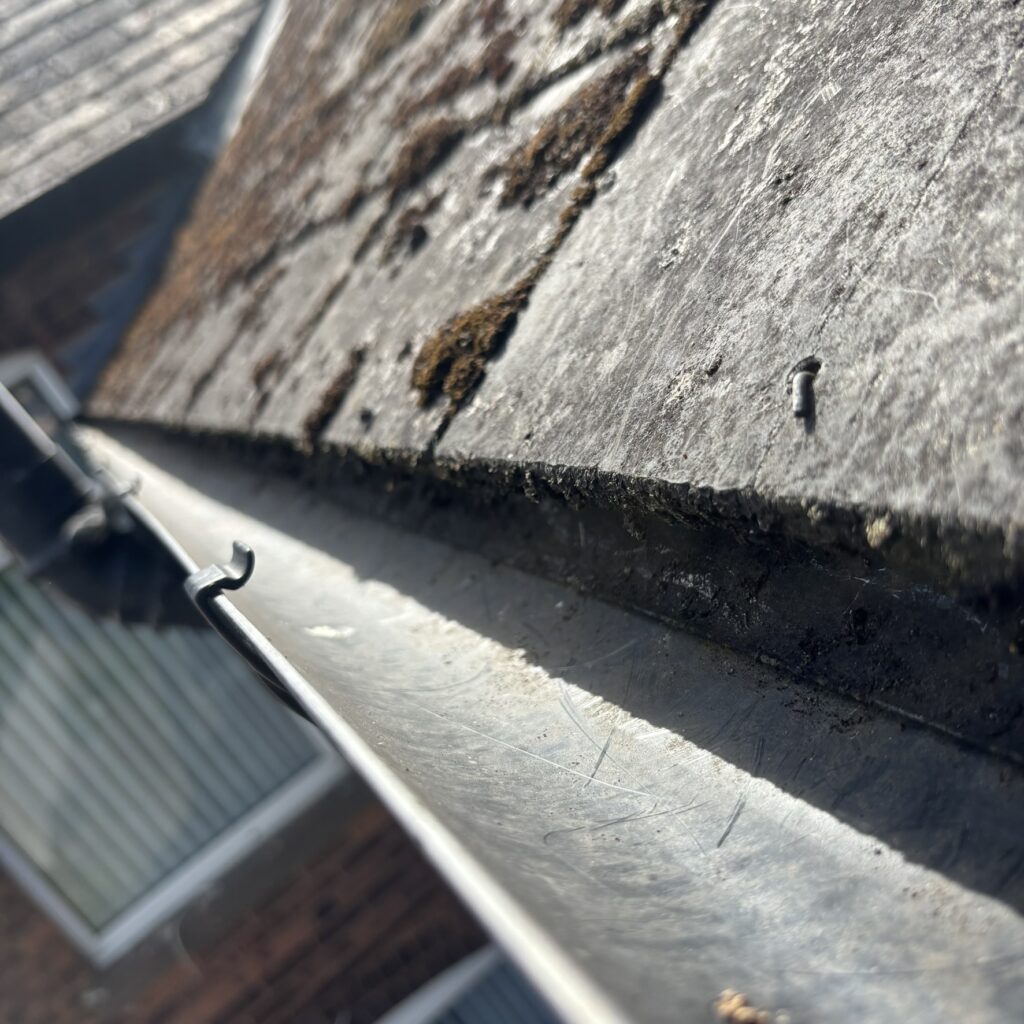 img 9816